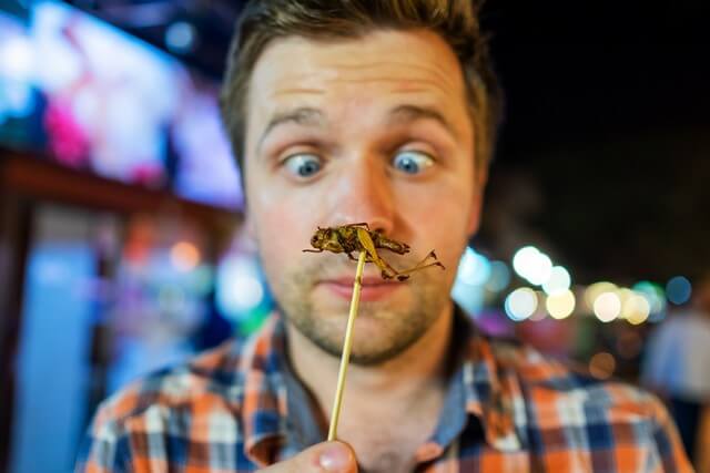 Party Bugs syrsor och mjölmaskar är de godaste ätbara insektssnacksen i världen!